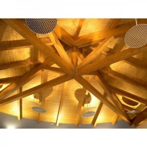 AITHON PV33 farba ogniochronna do drewna