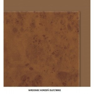 Drzwi EI-120 1000x2000 mm w okleinie drewnopodobnej