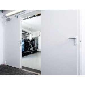 Drzwi EI-30 2000x2000 mm DOMOFERM