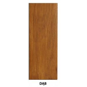 Lakier Delta Wood Fire Protect - Aqua 10L