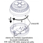 Sygnalizator optyczny SO-P8